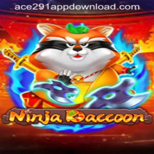 Discover the Exciting World of NinjaRaccoon