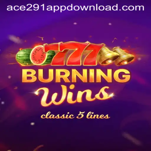 BurningWins: A Thrilling Arcade Experience at Ace291.com